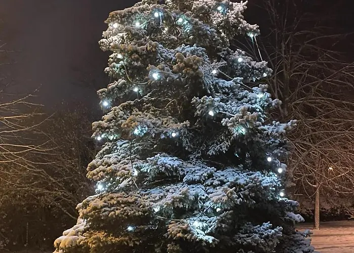 Helfert Fewo2 Mit Eigener Terrasse Apartment Senftenberg